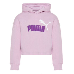 Подростковая худи PUMA ESS+ 2color Logo Hoodie