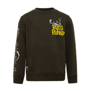 Детская толстовка STREETBEAT Sweatshirt & Looney Tunes