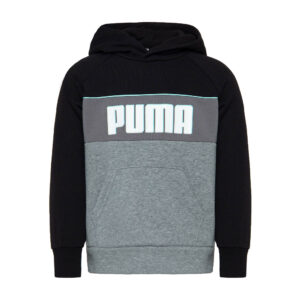 Детская худи PUMA Alpha Hoodie