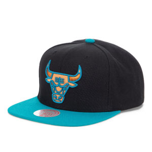 Кепка MITCHELL AND NESS Chicago Bulls Make Cents Snapback
