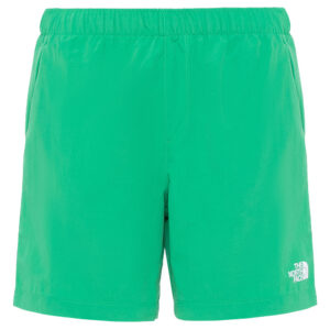 Мужские шорты The North Face Water Short