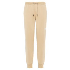 Мужские брюки The North Face NSE Light Pant