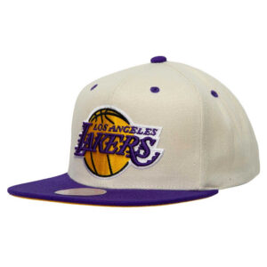 Кепка MITCHELL AND NESS Sail 2 Tone Snapback Hat Los Angeles Lakers